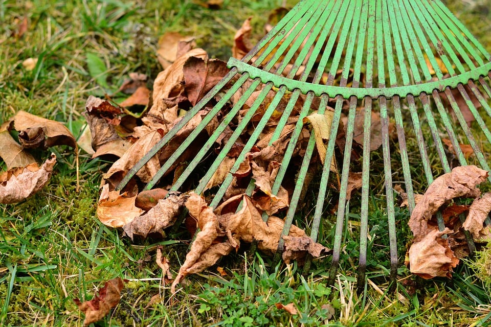 How To Quickly & Safely Remove Fallen Leaves From Your Grounds